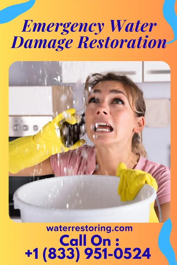 Emergency Water Damage Restoration in Delafield, WI