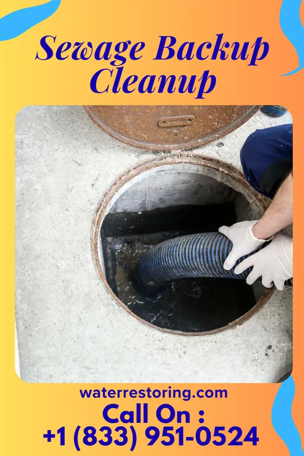 Sewage Backup Cleanup in Delafield, WI